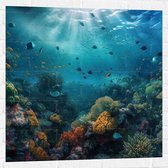 Muursticker - Oceaan - Zee - Dieren - Vissen - Koraal - Kleuren - 80x80 cm Foto op Muursticker