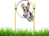 Agility Voor De Hond - Hoepel Springen - Honden Training -Slalom Hond Trainen - Behendigheid Spel