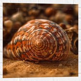 Muursticker - Schelp - Closeup - Zand - Strand - 50x50 cm Foto op Muursticker