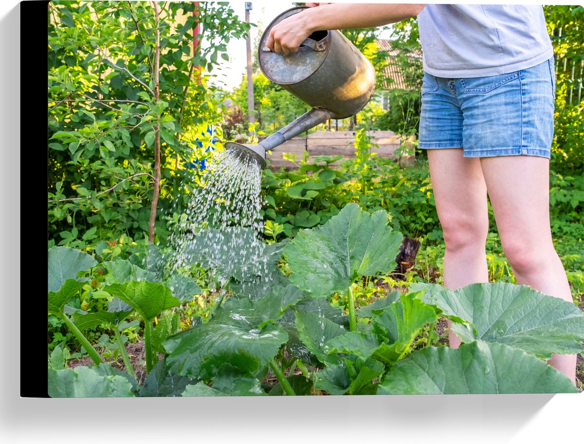 Canvas - Tuin - Bloemen - Planten - Gieter - Water - Groen - 40x30 cm Foto op Canvas Schil