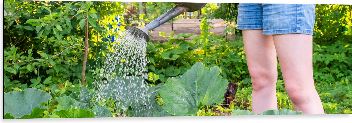 Dibond - Tuin - Bloemen - Planten - Gieter - Water - Groen - 120x40 cm Foto op Aluminium (