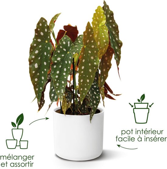 Elho Vibes Fold Round 18 - Vaso per Piante da Interno - 18.3 x H 16.8