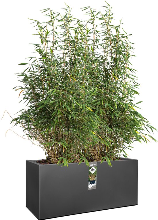 Elho Vivo Next Lang 60 - Planter for Indoor & Outdoor - 100% Recycled Plastic - L 159 x H 29,2 cm - Living Black