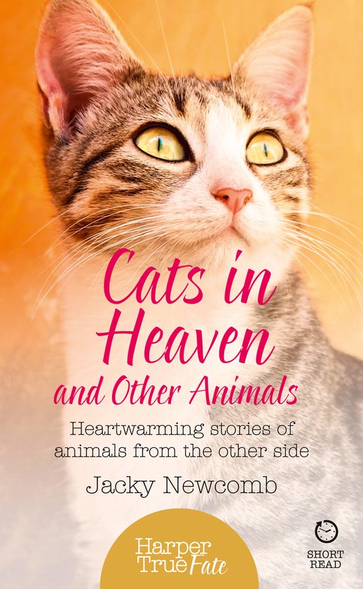 Cats In Heaven & Other Animals - cover