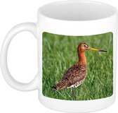 Mug photo oiseau godwit Animaux 300 ml
