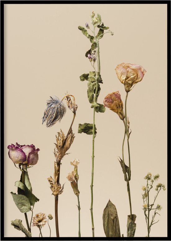 Poster Gedroogde bloemen - Natuur poster - 30x40 cm - Exclusief lijst - WALLLL