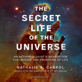 The Secret Life of the Universe