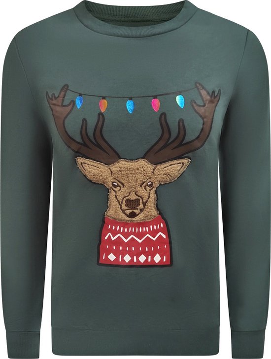 Kersttrui Rendier Lichtjes Groen Heren bol