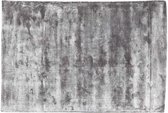 PTMD Flavia Rechthoekig Tapijt - 160 x 230 x 1 cm - Viscose - Grijs
