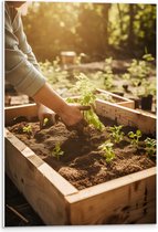 PVC Schuimplaat - Tuin - Plantjes - Bakken - Zand - Zon - 40x60 cm Foto op PVC Schuimplaat (Met Ophangsysteem)