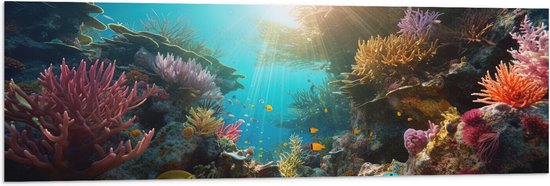 Vlag - Onderwater - Oceaan - Zee - Koraal - Vissen - Kleuren - Zon - 120x40 cm Foto op Polyester Vlag