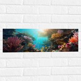 Muursticker - Onderwater - Oceaan - Zee - Koraal - Vissen - Kleuren - Zon - 60x20 cm Foto op Muursticker