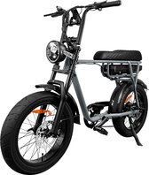 Fat Wheelz - FW4 Grey Edition - Fatbike E-bike 250Watt 25 km/u 20” Banden – 7 Versnellingen met alarm