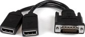 StarTech 20 cm LFH 59 mannelijke naar dubbele vrouwelijke DisplayPort DMS 59 kabel