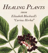 Tiny Folio- Healing Plants