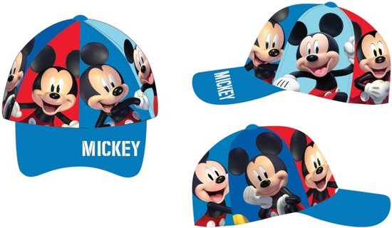 Mickey Mouse pet