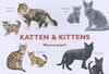 Afbeelding van het spelletje Katten & Kittens