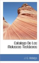 Catalogo de Los Moluscos Test Ceos