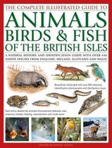 The Complete Illustrated Guide to Animals, Birds & Fish of the British Isles: A Natural History and Identification Guide with Over 440 Native Species