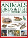 The Complete Illustrated Guide to Animals, Birds & Fish of the British Isles: A Natural History and Identification Guide with Over 440 Native Species
