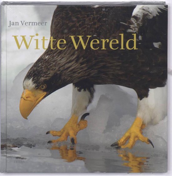Witte Wereld - Jan Vermeer | Warmolth.org