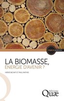 Enjeux sciences - La biomasse, énergie d'avenir ?
