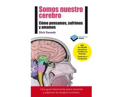 Somos nuestro cerebro