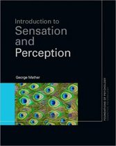 Introduction To Sensation & Perception