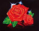 Red Rose Sparkle Diamond Dotz 28x35 cm