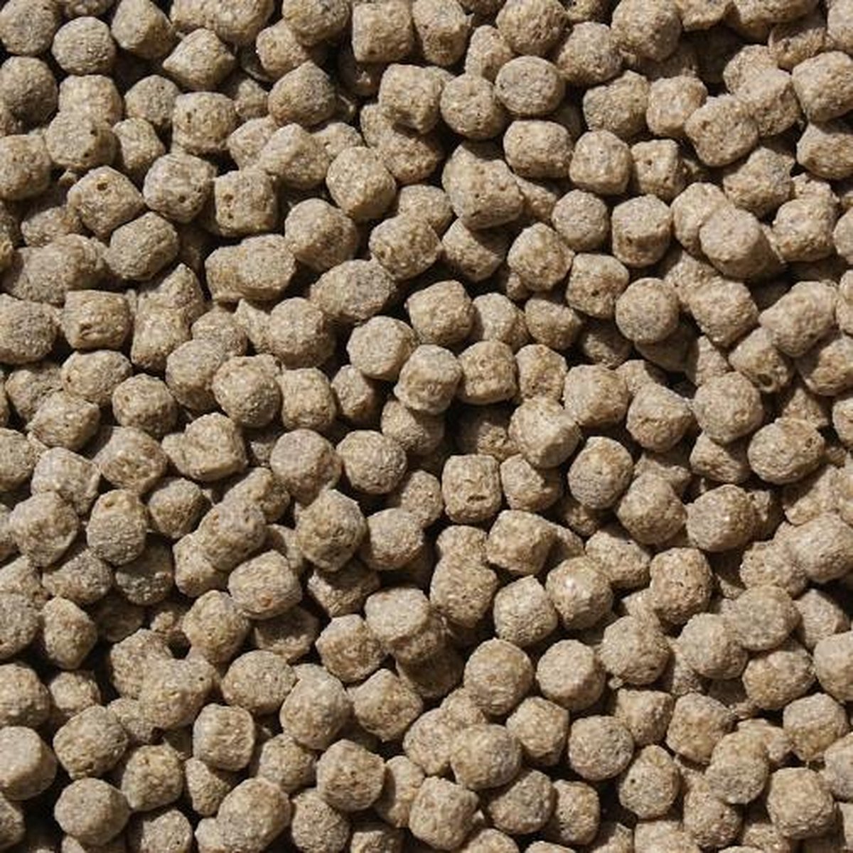 Koivoer Wheat Germ (15KG)(3mm) - Wintervoer
