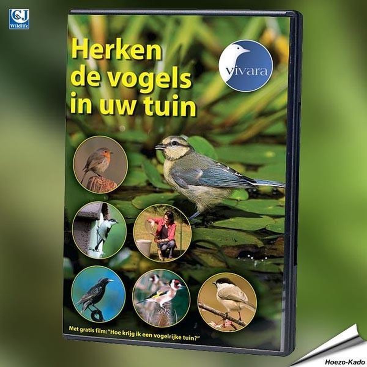 Herken de vogels in uw tuin