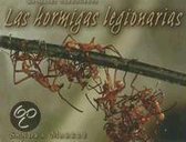 Las Hormigas Legionarias