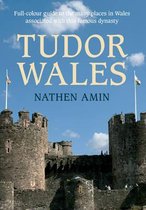 Tudor Wales A Guide