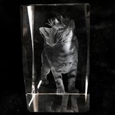 kristal glas laserblok met 3D afbeelding van Kat 5x8cm excl.verlichting
