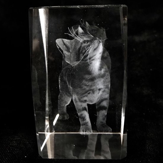 lijn ik zal sterk zijn handboeien kristal glas laserblok met 3D afbeelding van Kat 5x8cm excl.verlichting |  bol.com