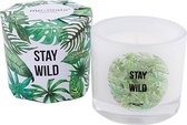 Candle Stay Wild