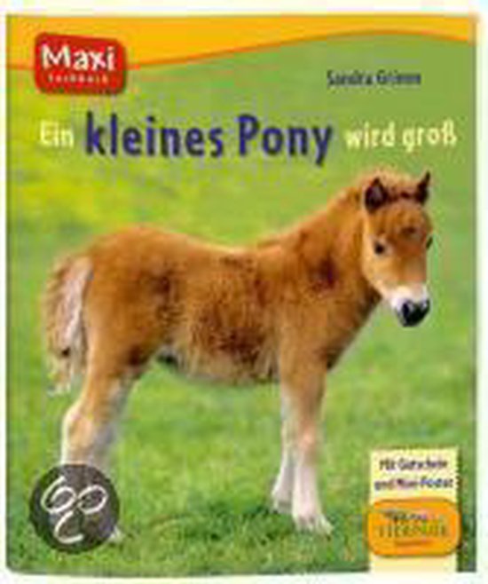 Foto: Ein kleines pony wird gro 