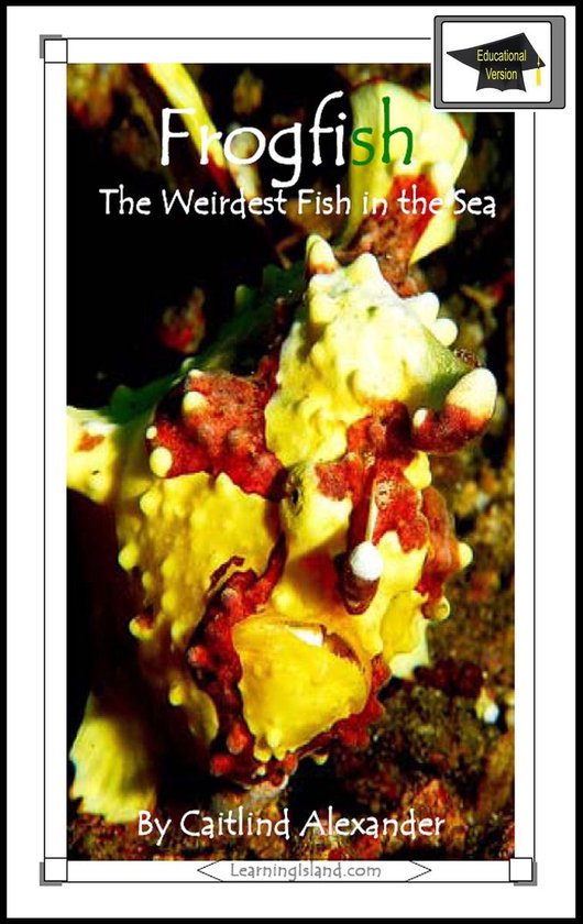 15-Minute Books 338 - Frogfish: The Weirdest Fish in the Sea ... - cover