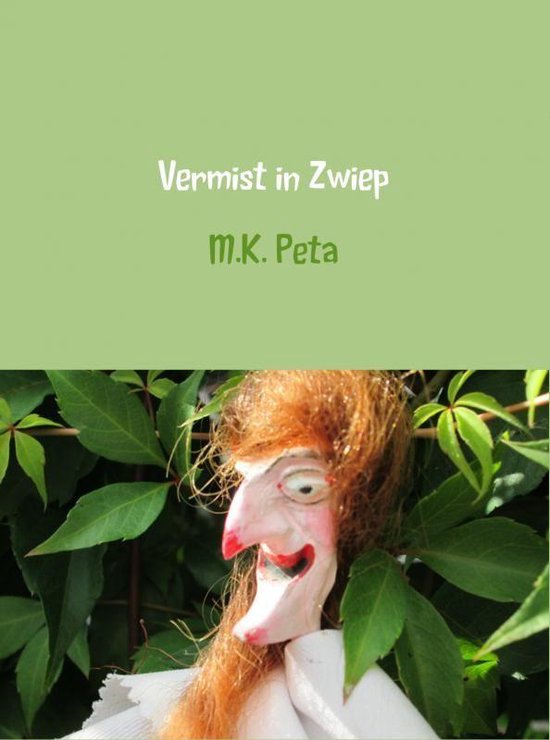 Vermist in Zwiep - cover