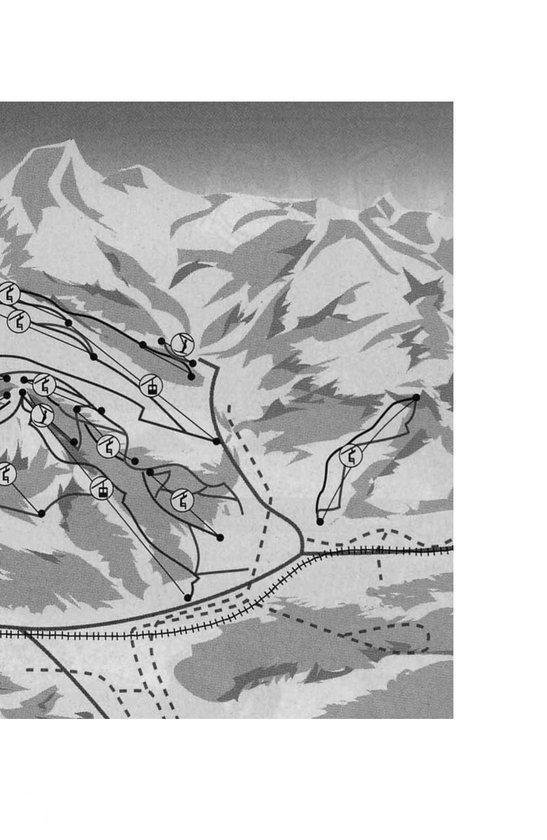 Grisberg met een skilabel en zwarte lijnen die pistes aangeven.