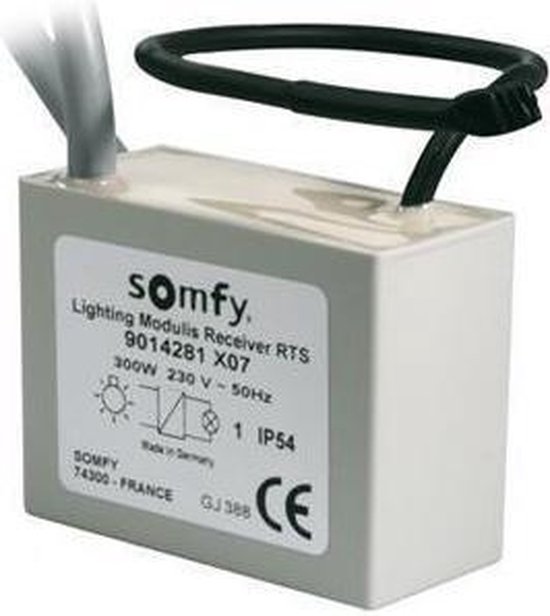 Somfy Lightning Dimmer RTS | bol.com