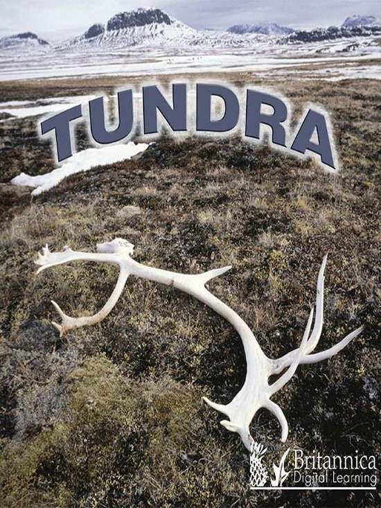 Tundra - cover
