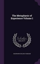 The Metaphysic of Experience Volume 1
