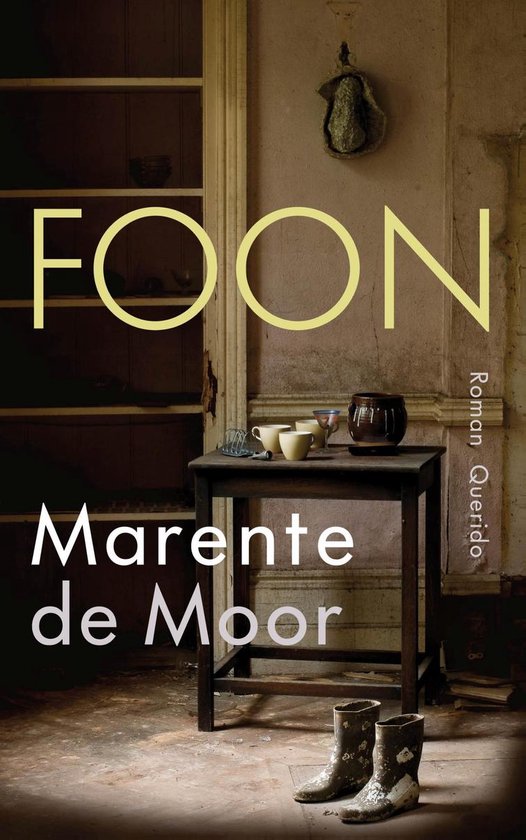 Omslag van Foon
