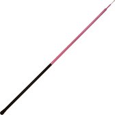 Fladen Clipper Pink Pole W Float Kit Vaste Hengel 3m | Vaste hengel
