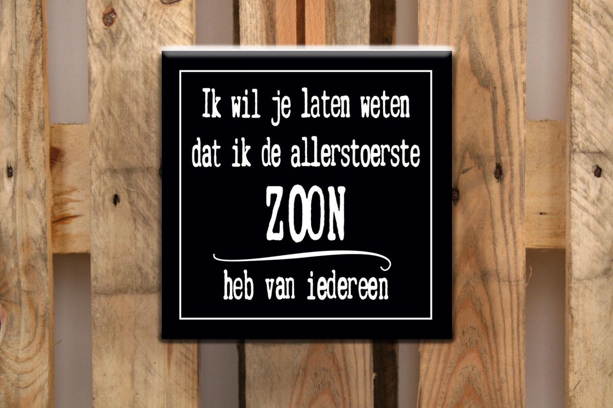 Tegel 15x15cm Zoon