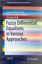 SpringerBriefs in Mathematics - Fuzzy Differential Equations in Various Approaches
