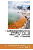 A Short Protestant Commentary on the Books of the New Testament