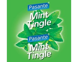 Pasante Mint Flavour Condooms 144 stuks