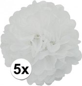 5x stuks Witte decoratie pompom 25 cm